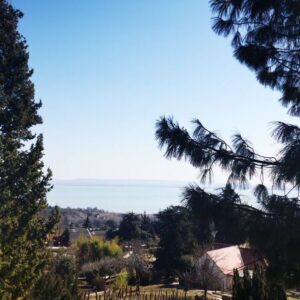 IMG 20220313 121934 1