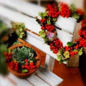 IMG 20220924 144905 edit 454249362906726 2 e1677481805498