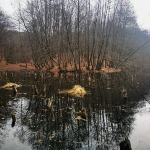 IMG 20230224 130652 1 e1679644195228