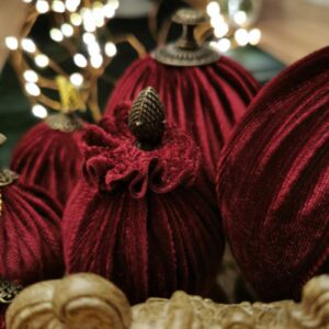 IMG 20201208 181227 1 e1701509300459