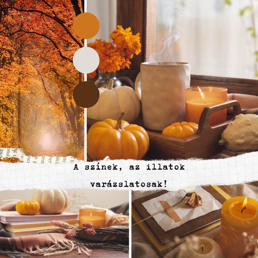 Brown Orange Fall Collage Instagram Post