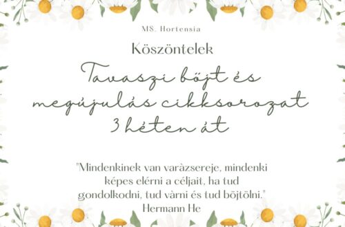 Böjt és megújulás lépésről lépésre - teljes sorozat 153 Tavaszi megújulás a slow living jegyében- Ms Hortensiával