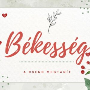 Red Green Cute Illustrated Typography Winter Candle Label 20251103 143615 0000 1