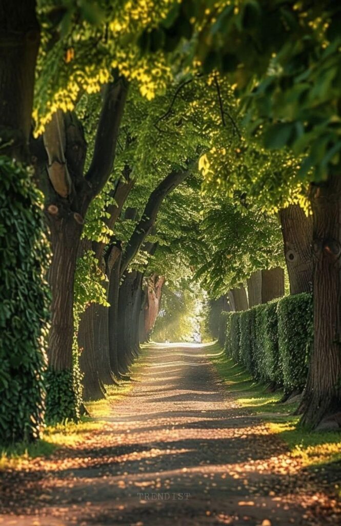 A zöld esszenciája: mit üzen ez a szín az embernek? 21 50bf39a30326809e4953ef6f6ef476cb