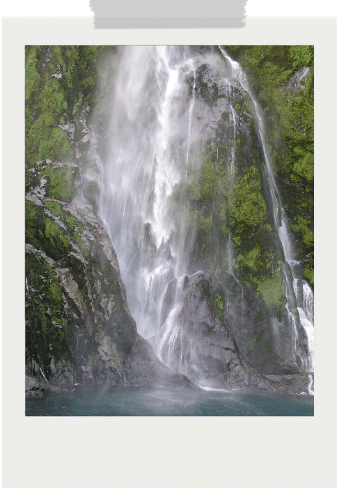 digitalis detox zene