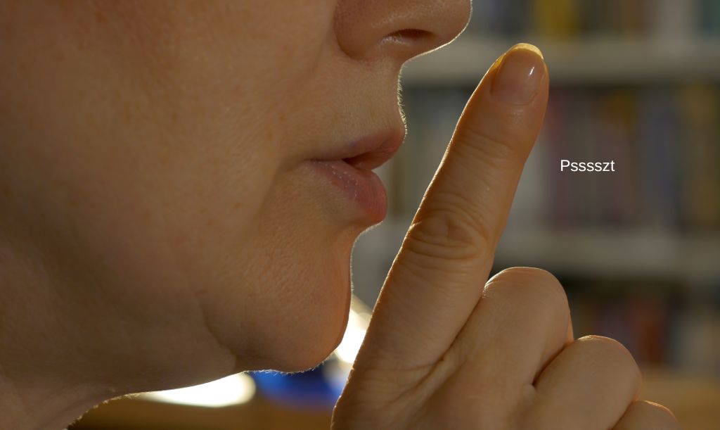 pssszt