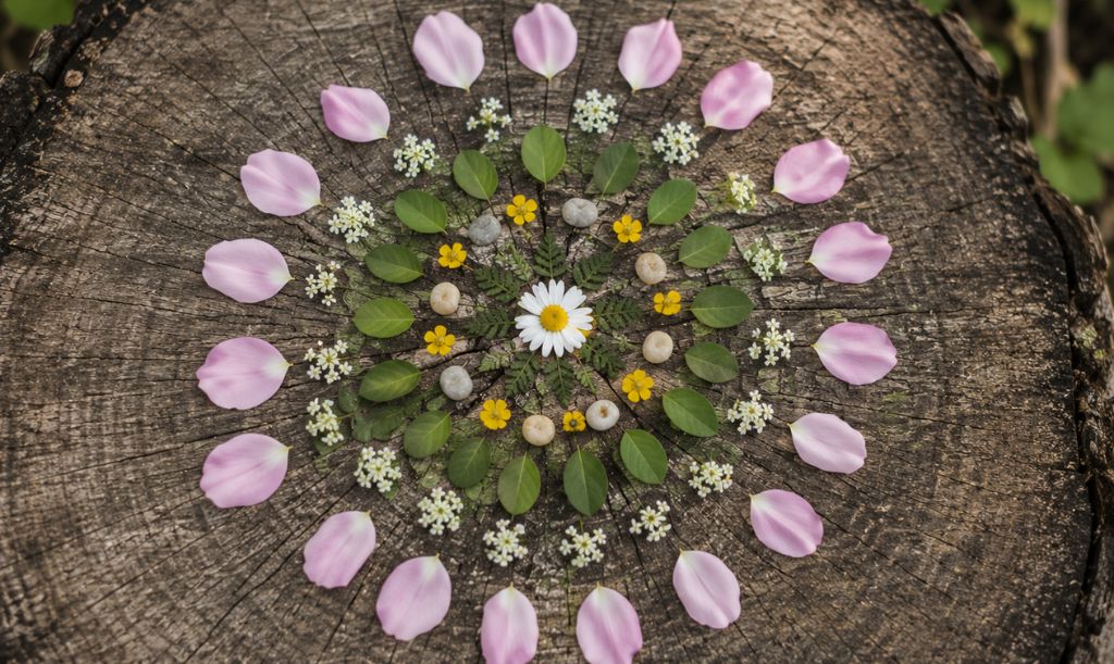 Alkotás határok nélkül: Rövid életű szépség 14 Land art5